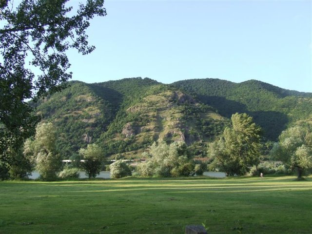DSCF0073 (Medium)